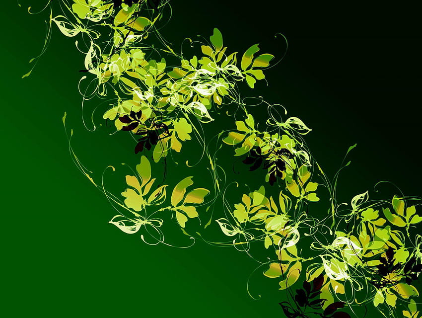 pattern plant vine leaves light flowers contrast HD wallpaper