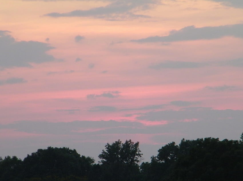 Evening Nature Sunset Pretty Sky Pink High, pink sunset evening HD wallpaper