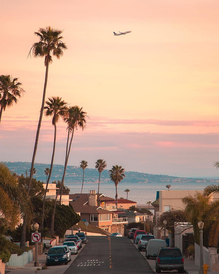 Ciel rose et palmiers partout à Los Angeles, Californie., été califonien Fond d'écran de téléphone HD