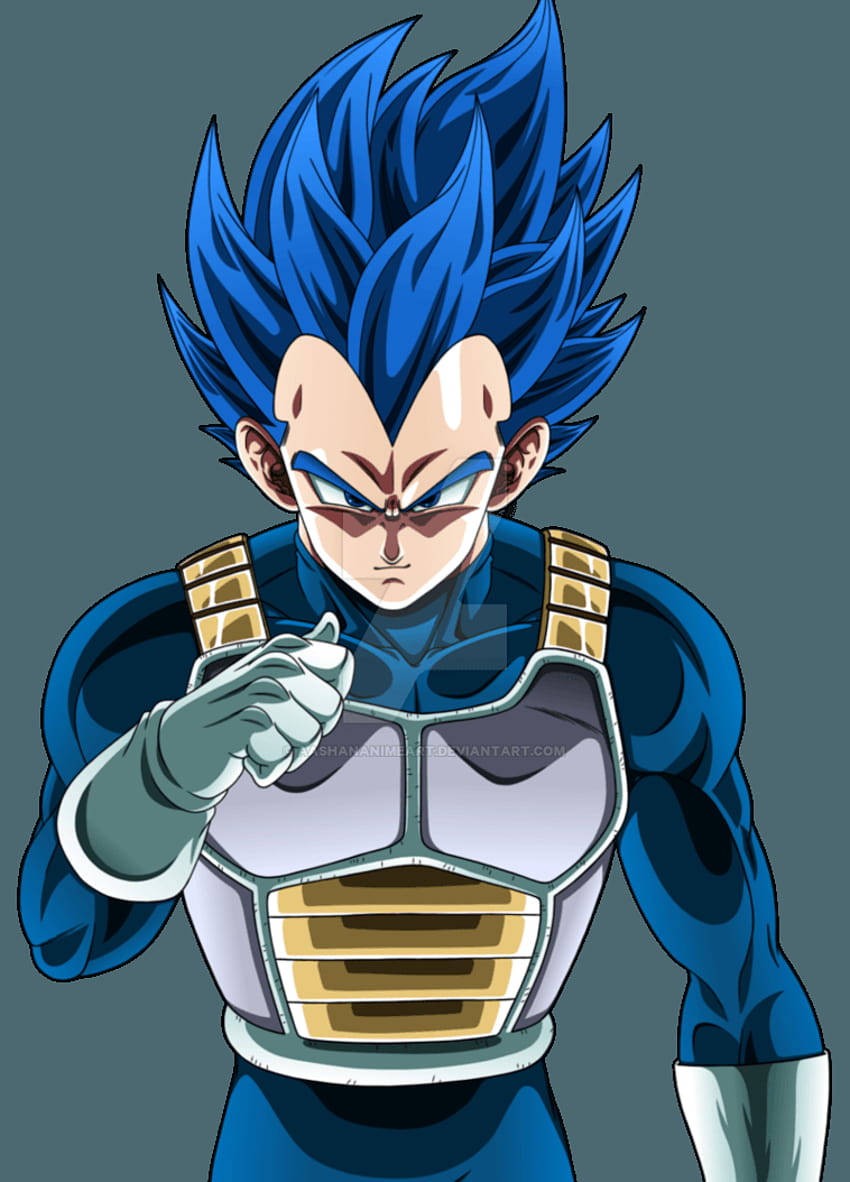 Super Saiyan God SS Evolved Vegeta - Blue Evolved Vegeta