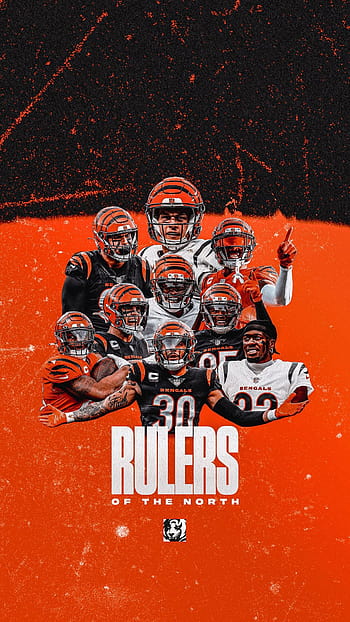 Cincinnati Bengals, cincinnatibengals, seizetheday, whodey, HD phone  wallpaper