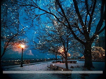 winter night scene