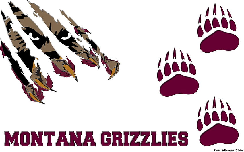 Montana Grizzlies HD wallpaper