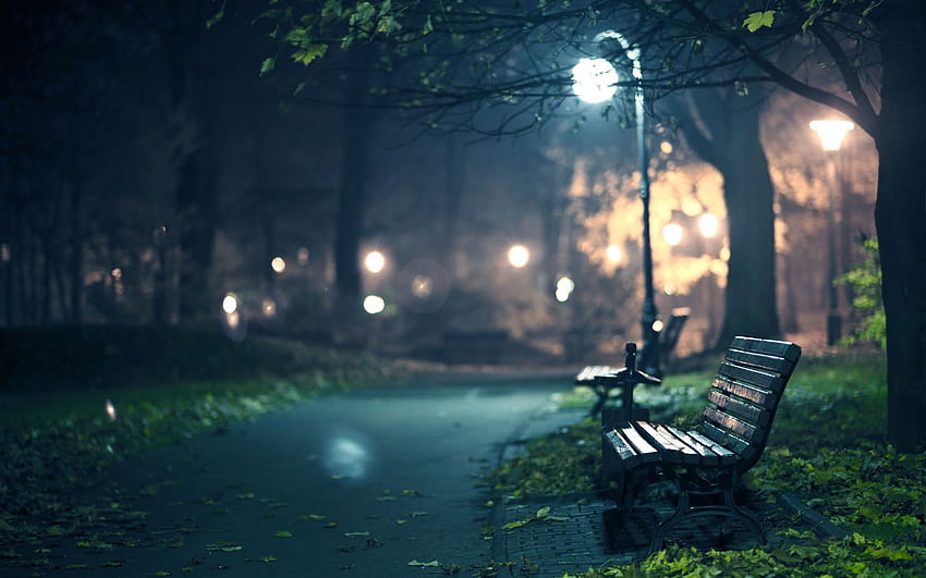 Zwei schwarze Bänke in der Nähe eines Baumes bei Nacht, braune Holzlattenbank in der Nähe eines Baumes bei nächtlicher Tiefenschärfe, Park HD-Hintergrundbild