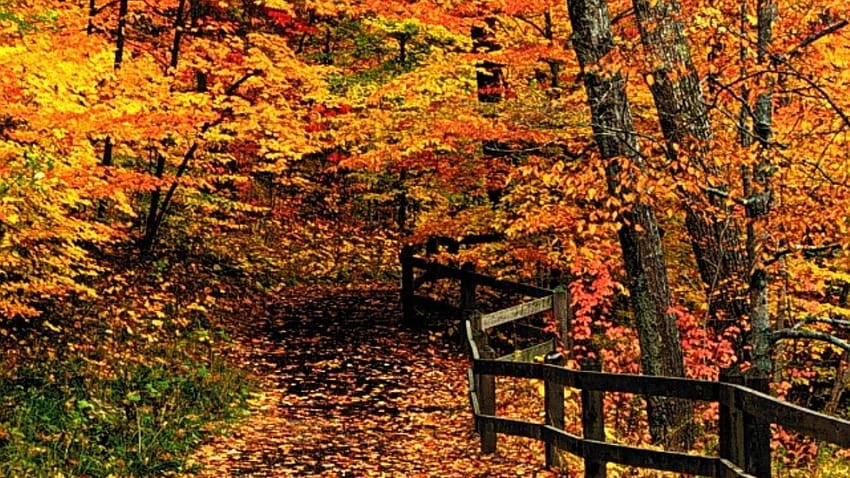 New England Fall, autumn new england HD wallpaper | Pxfuel