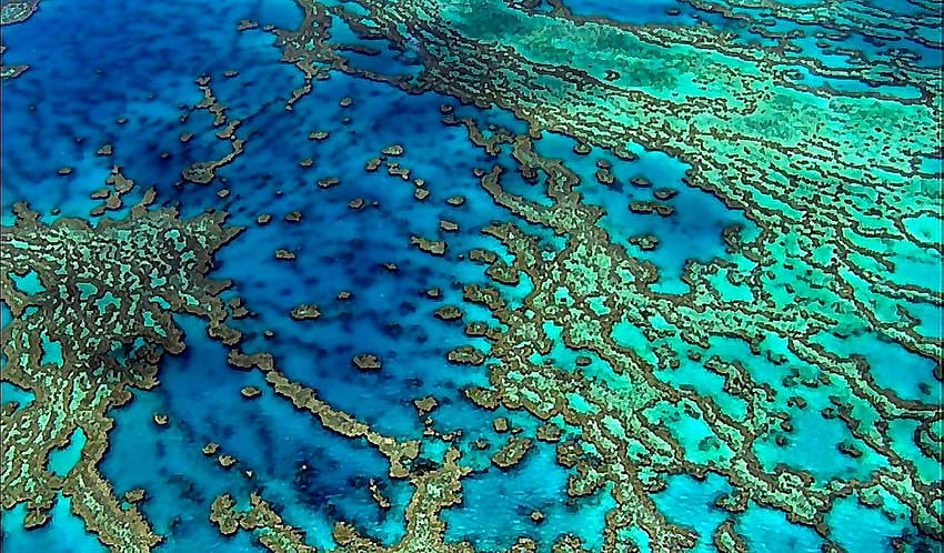 Oceano: Great Barrier Reef Teal Australia Blue Ocean Turquoise Coral, grande parco marino della barriera corallina Sfondo HD