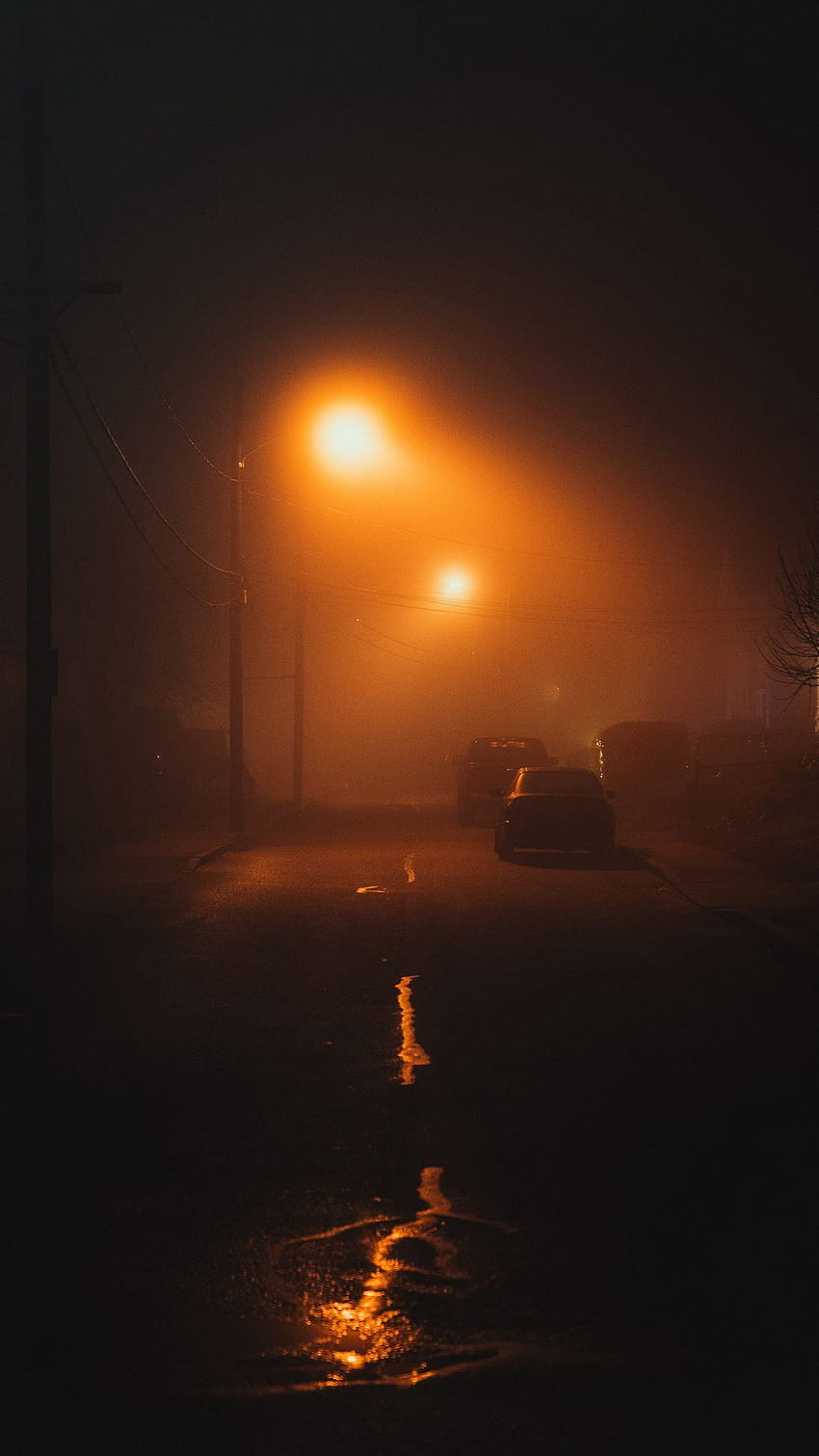Тъмно, Улица, Нощ, Мъгла, Светлина, Мъгла, тъмен път с мъгла HD тапет за телефон