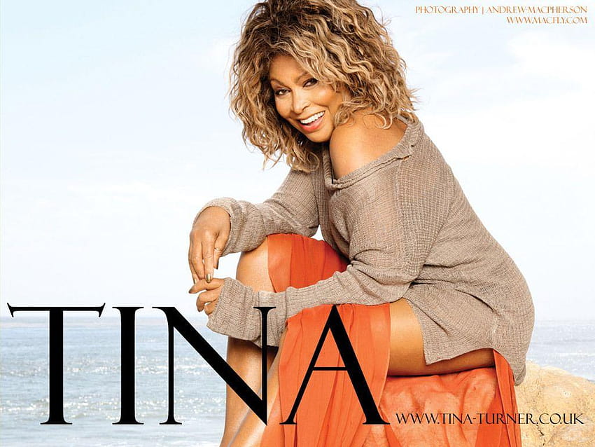 Tina Turner Tina Turner and backgrounds HD wallpaper