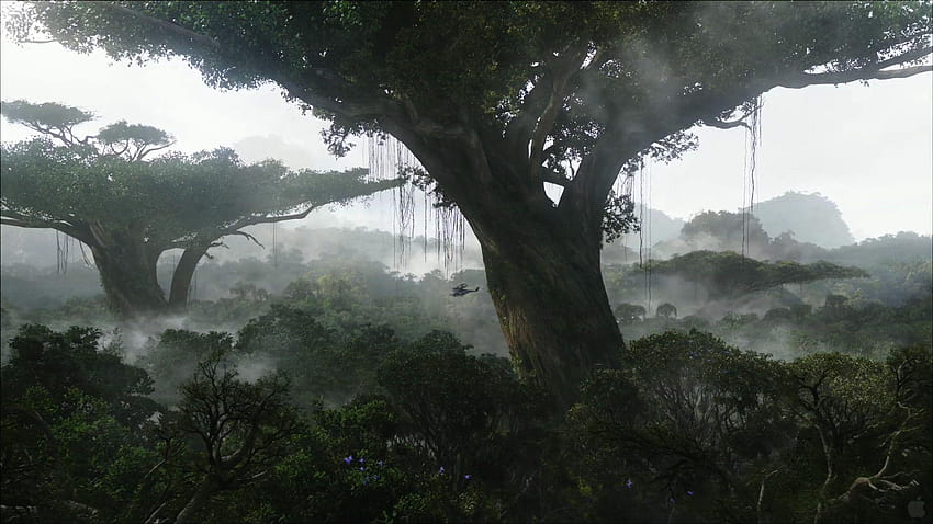 Pandora Rainforest Waterfall Forest HD wallpaper