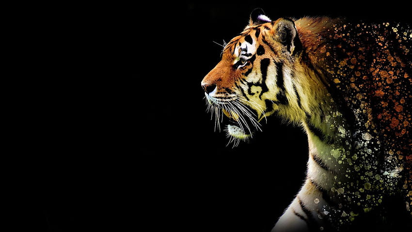 Tiger Black, black tiger android HD wallpaper | Pxfuel