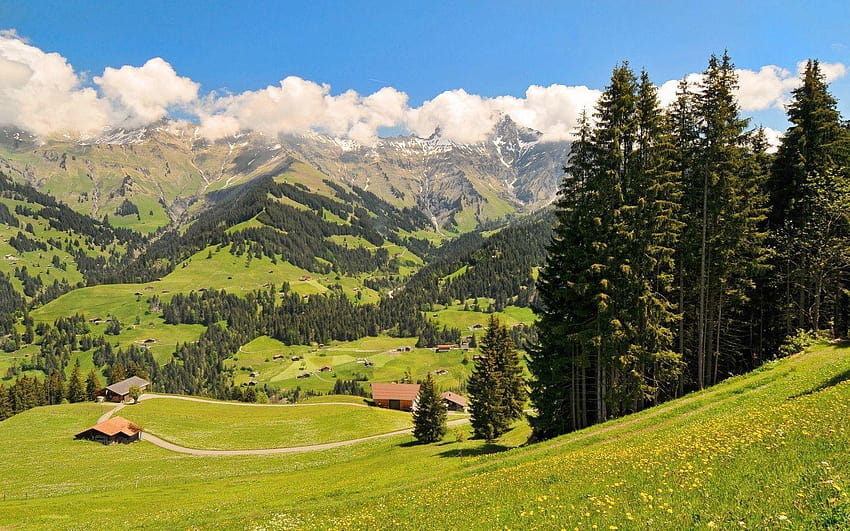 1440x900 Pegunungan Alpen Swiss Wallpaper HD