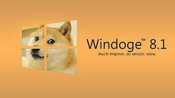 Windoge 8 HD wallpaper | Pxfuel