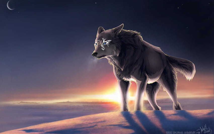 7 Animated Wolf, anime wolves with wings HD wallpaper
