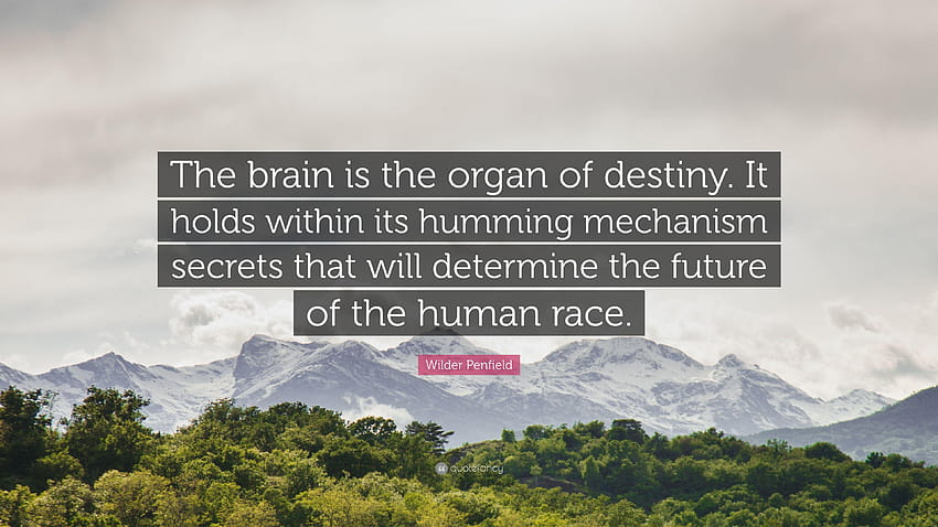 Цитат на Уайлдър Пенфийлд: „Мозъкът е органът на съдбата. То HD тапет