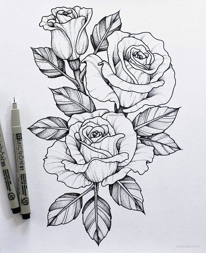 How to Draw Roses  An Easy and Complete StepbyStep Drawing Demo