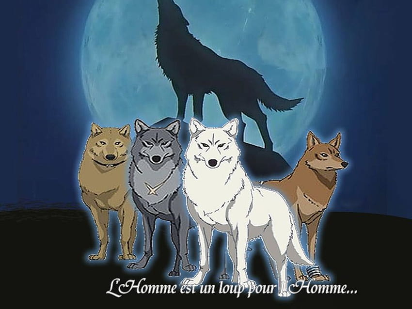 of Wolfs Rain Anime [1024x768] for your , Mobile & Tablet, yagmur un HD wallpaper