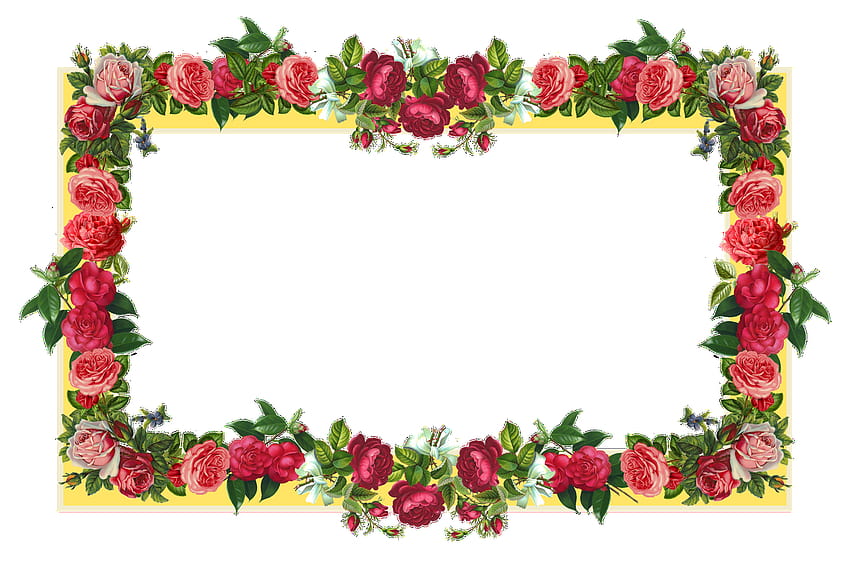 Bordi di fiori di rosa, png di bordi di fiori di rosa, ClipArt nella libreria di clipart, bordo floreale Sfondo HD