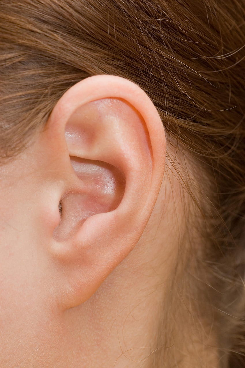 Orecchie, orecchio umano Sfondo del telefono HD