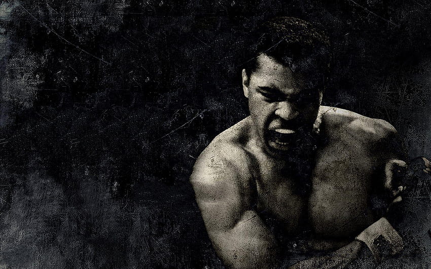 Muhammad Ali, mohammad ali Wallpaper HD