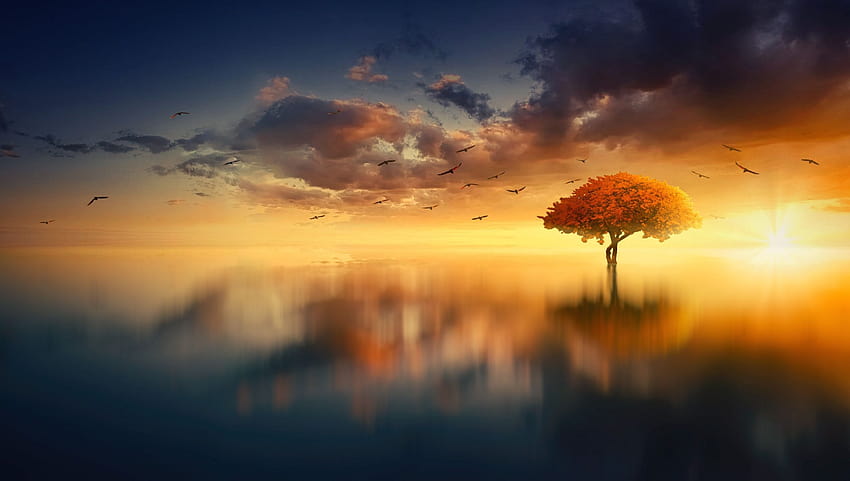 Lake Sunset · · .io, природа на залез слънце HD тапет