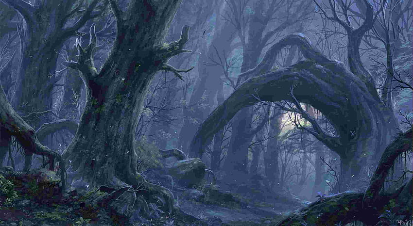 Imgur  Forest wallpaper, Fantasy forest, Dark forest
