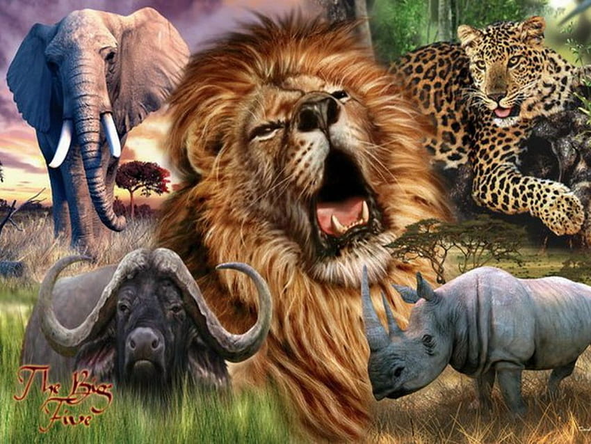 Safari Afrika. 5 Besar Afrika ...pinterest.fr, lima besar Wallpaper HD