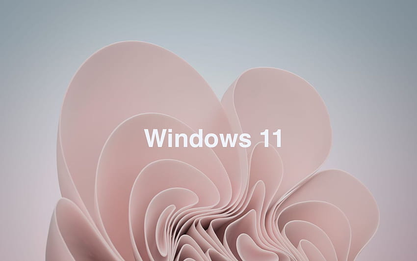 Leak Alert! You Can Now Windows 11 HD wallpaper