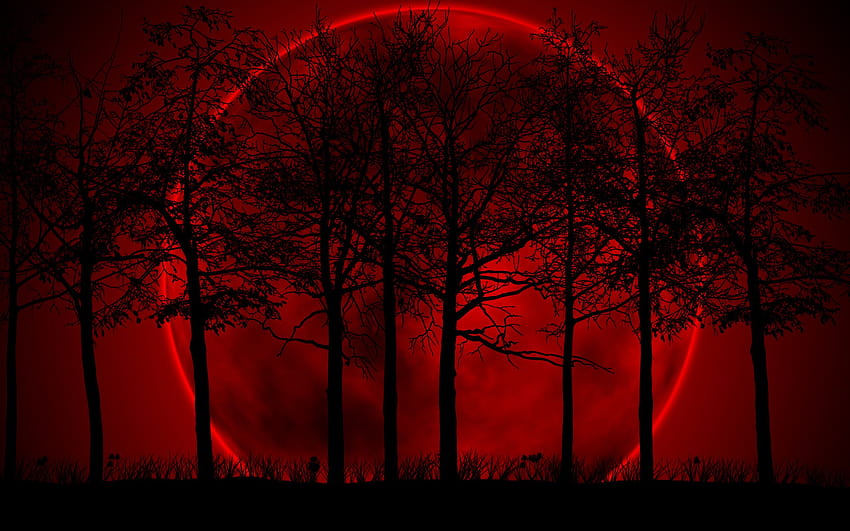 暗いアニメの森の背景、赤いアニメの森 高画質の壁紙