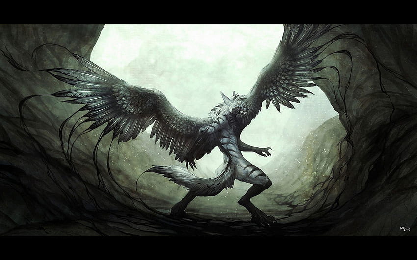 Fantasy Winged Wolf Furry, wolf with wings HD wallpaper