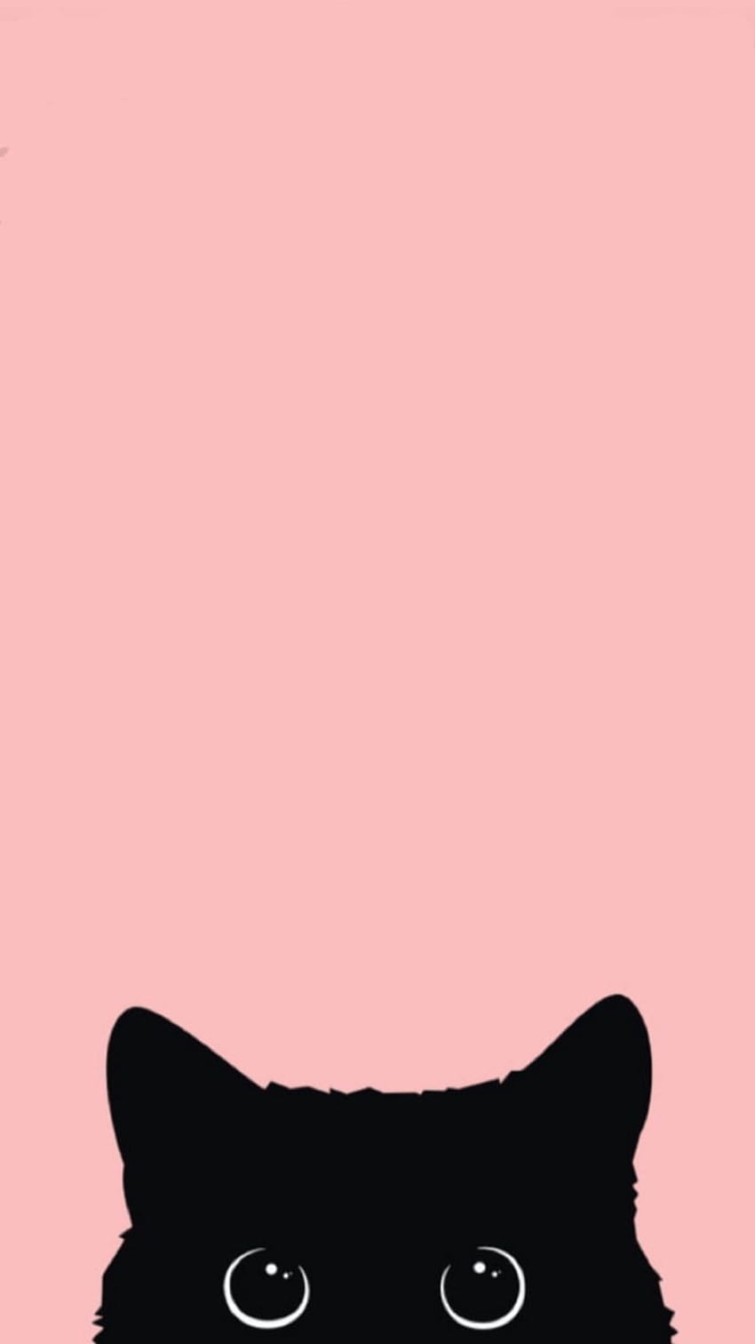 ピンクの猫、かわいいかわいい猫 HD電話の壁紙