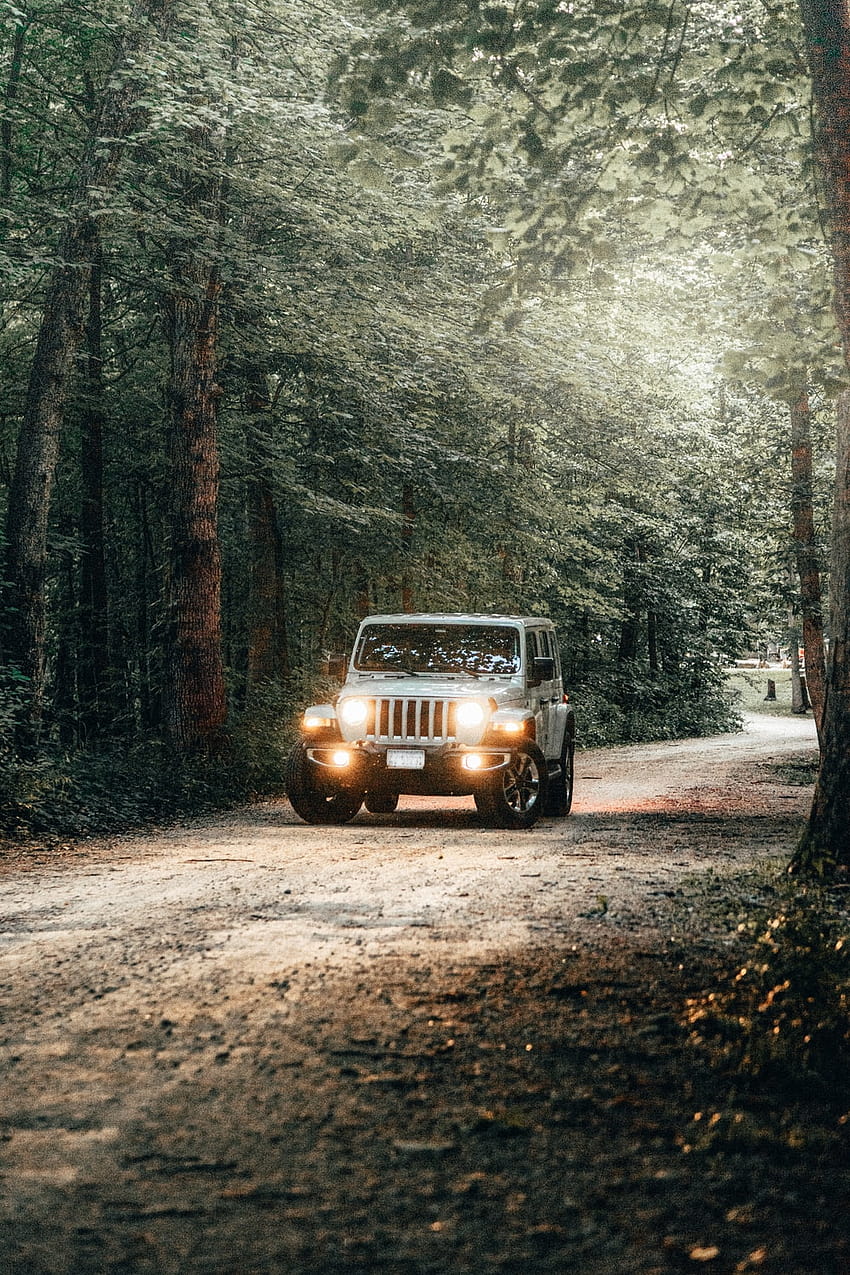 czerwony i czarny samochód na drodze między drzewami w ciągu dnia – New Hampshire, konwój jeepów Tapeta na telefon HD