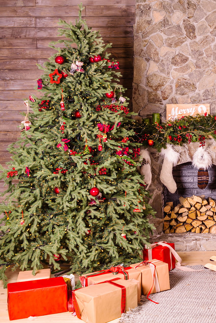 Albero di Natale [HQ], ornamento dell'albero di Natale Sfondo del telefono HD