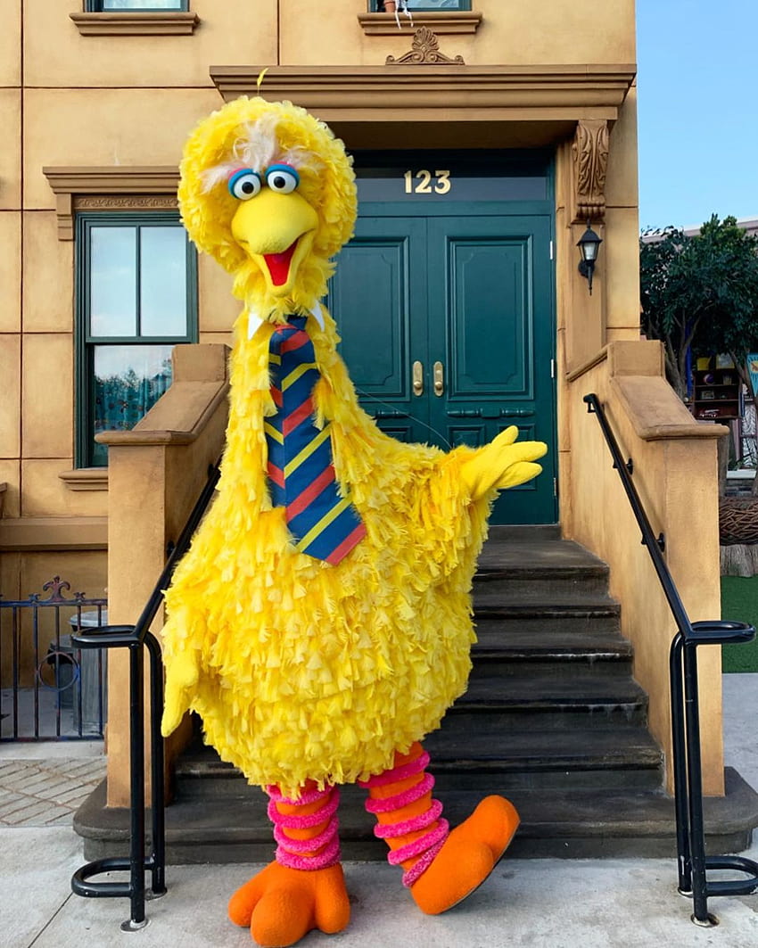 Big Bird  Sesame Street bird big family show yellow tv friendly HD  wallpaper  Peakpx