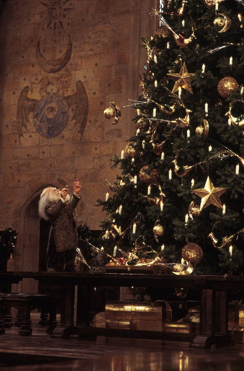 Harry Potter Film on Twitter, hogwarts christmas HD phone wallpaper
