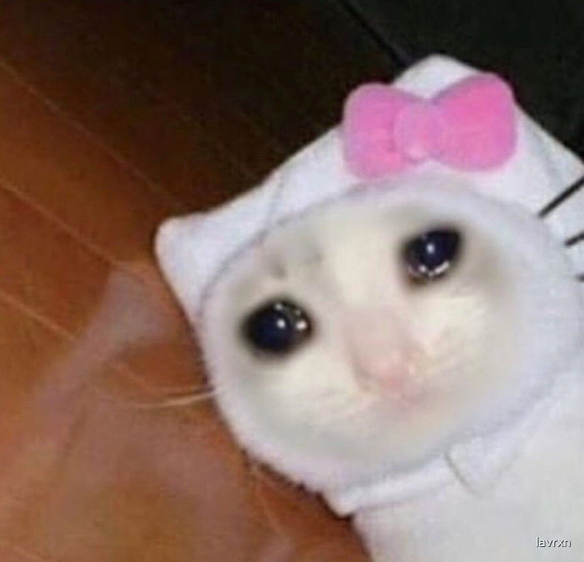 Crying Cat Meme Hello Kitty HD wallpaper