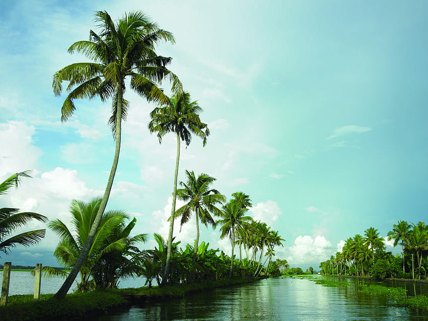 Backwater, Керала туризъм HD тапет