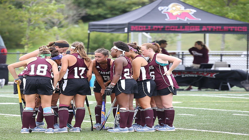 Field Hockey Defeated by Southern New Hampshire in Overtime, field hockey stick heart HD wallpaper