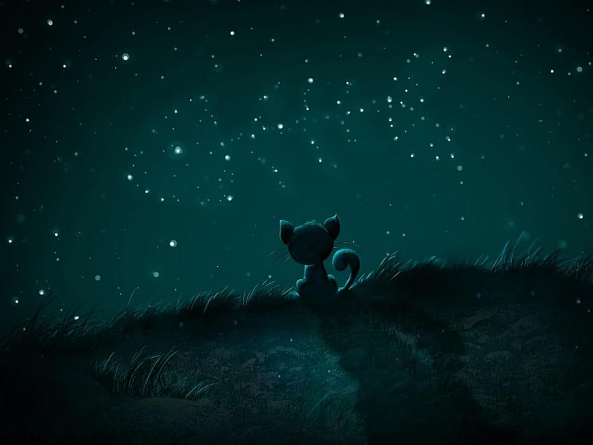 Kitten Dream ~ Dream, kitten in space HD wallpaper
