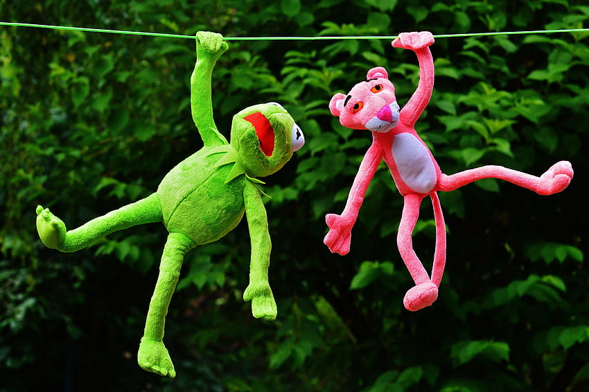 Pink Panther und Hermit the Frog hängen an einer Schnur, Kermit HD-Hintergrundbild