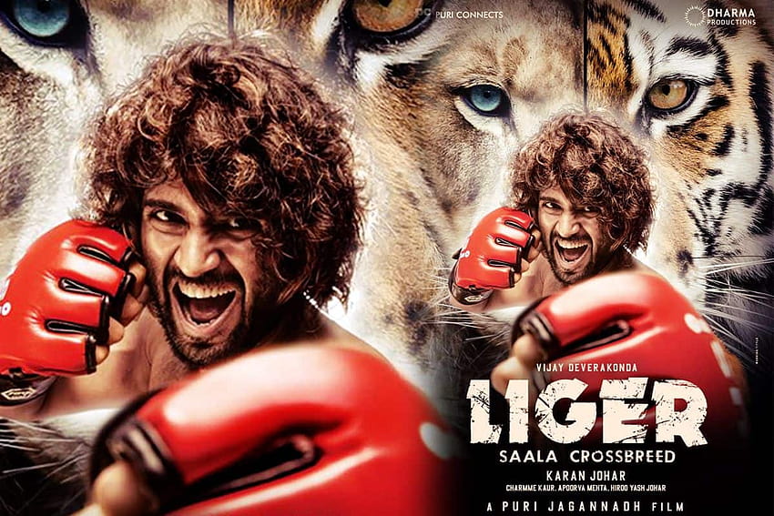 Ananya Panday And Vijay Devarakonda Introduce 'Liger', a Combination of Tiger And Lion HD wallpaper