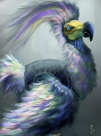 Dodo bird HD wallpapers | Pxfuel