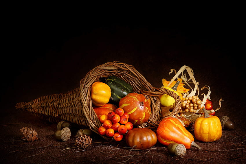fall, pumpkins, still life, pine cone, season, basket ::, pumpkins and basket HD wallpaper