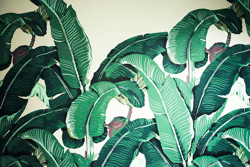 Blue Palm Frond, liście palmowe Tapeta HD