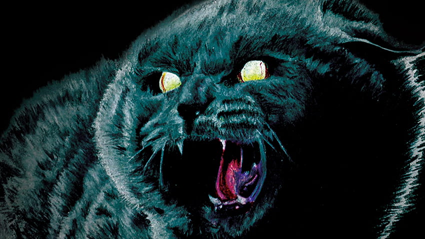 Unearthed & Untold: The Path to Pet Sematary Steam Discovery HD wallpaper Unearthed & Untold: The Path to Pet Sematary Steam Discovery HD wallpaper