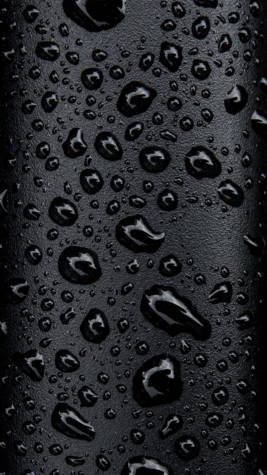 Black iPhone 7 on Dog HD phone wallpaper | Pxfuel