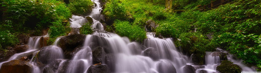 Forest Waterfall, Summer Ultra Backgrounds for U TV : & 울트라와이드 & 노트북 : 멀티 디스플레이, 듀얼 모니터 : 태블릿 : 스마트폰, 여름 5120x1440 HD 월페이퍼