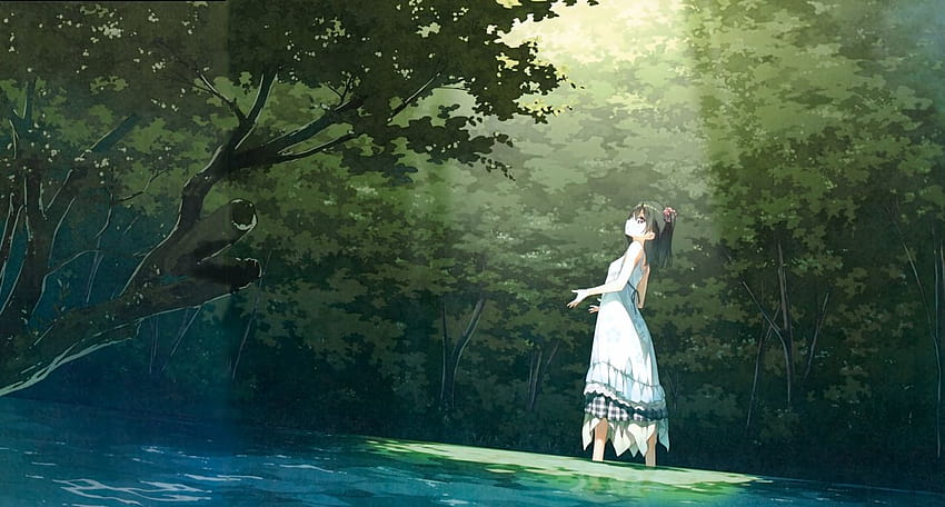 Forest anime girl sunshine HD wallpaper
