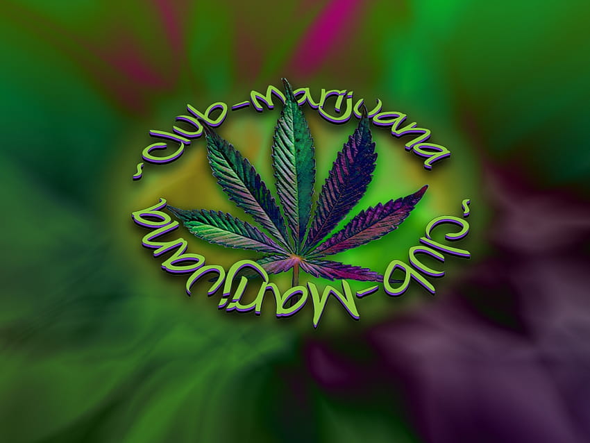 funny marijuana, funny weed HD wallpaper