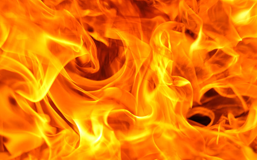 api oranye, api unggun, nyala api, makro, tekstur api oranye, latar belakang api oranye dengan resolusi 3840x2400. Kualitas tinggi, api Wallpaper HD