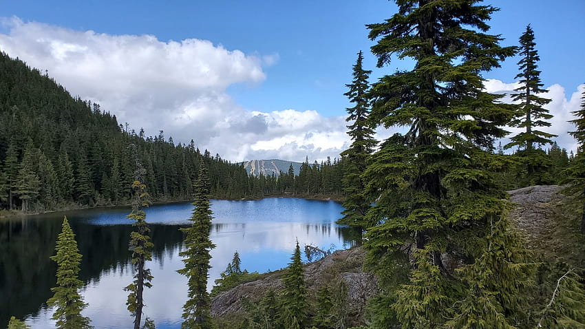 Of Strathcona Provincial Park ...alltrails, strathcona park british ...